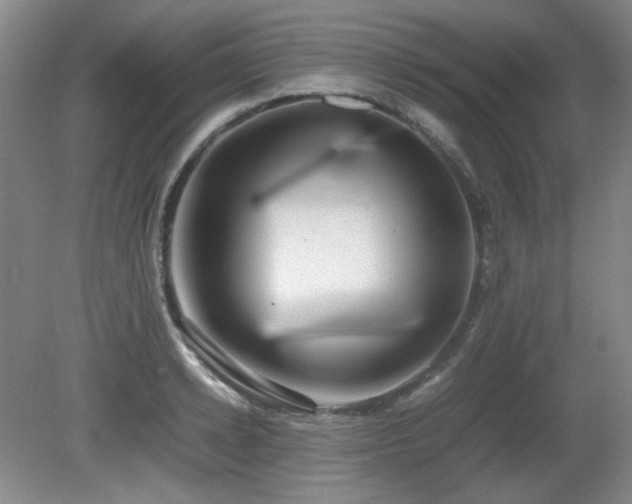 X0000080780942200612151425