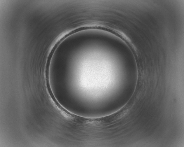 X0000080780943200612151425