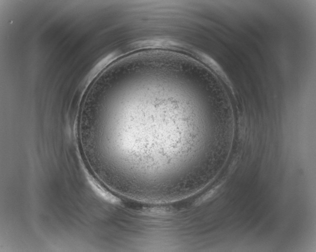 X0000080780946200612151425