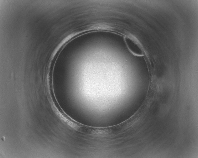X0000080780947200612151425