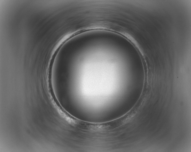 X0000080780949200612151425