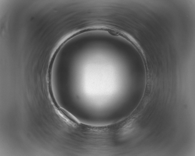 X0000080780951200612151425