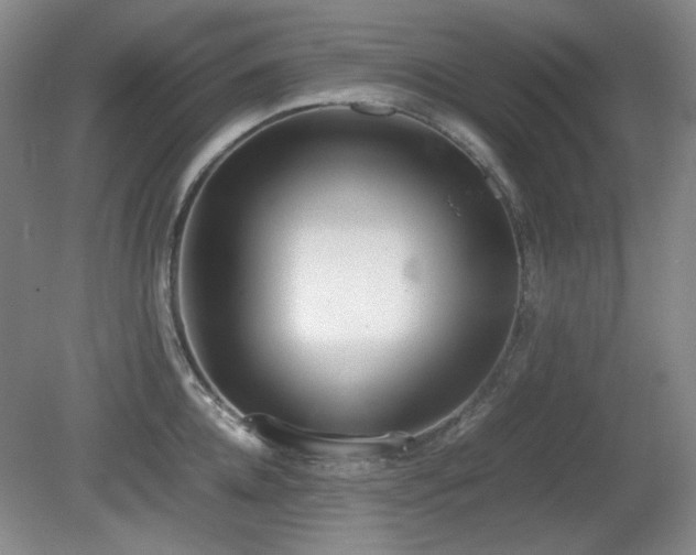 X0000080780952200612151425