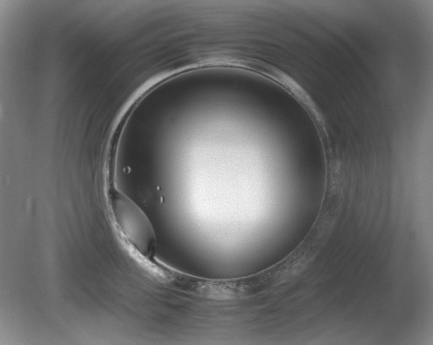 X0000080780955200612151425