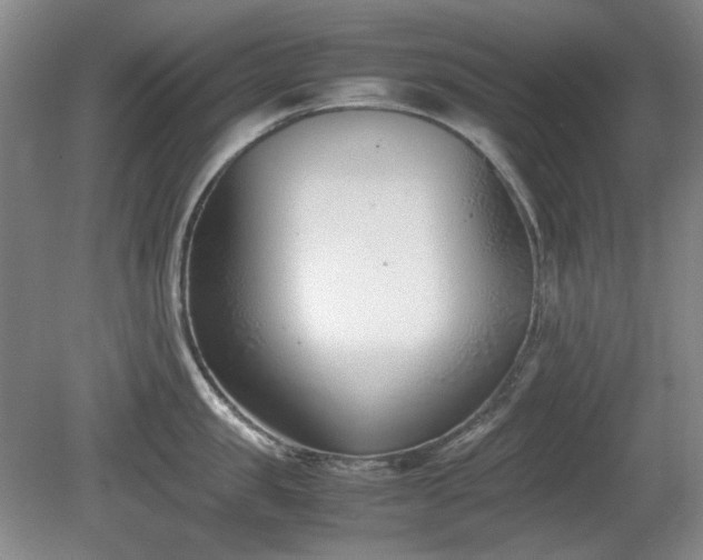 X0000080780957200612151425