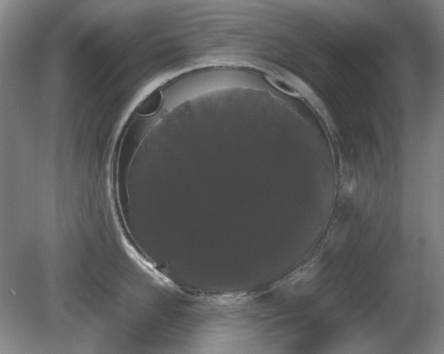 X0000080780958200612151425