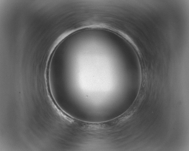 X0000080780959200612151425