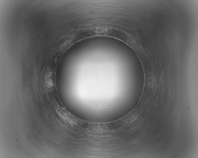 X0000080780962200612151425