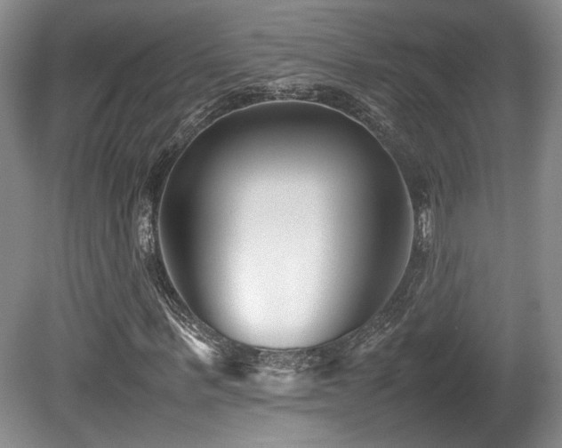 X0000080780963200612151425