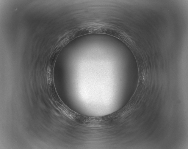 X0000080780964200612151425