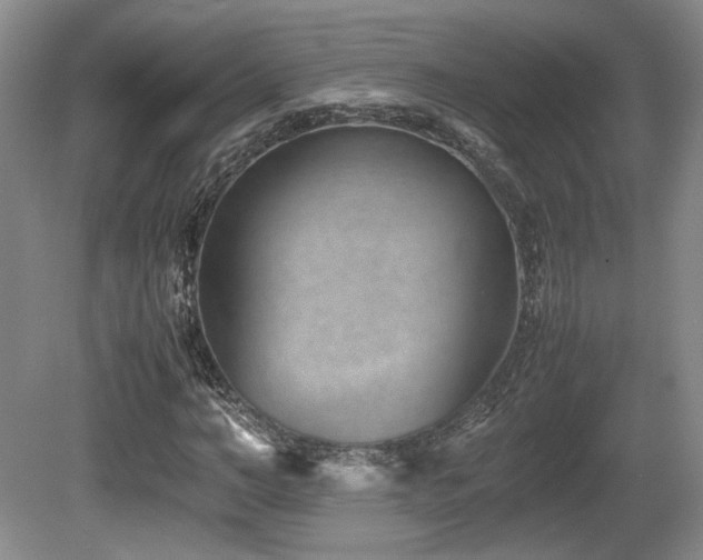 X0000080780966200612151425