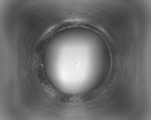 X0000080780967200612151425
