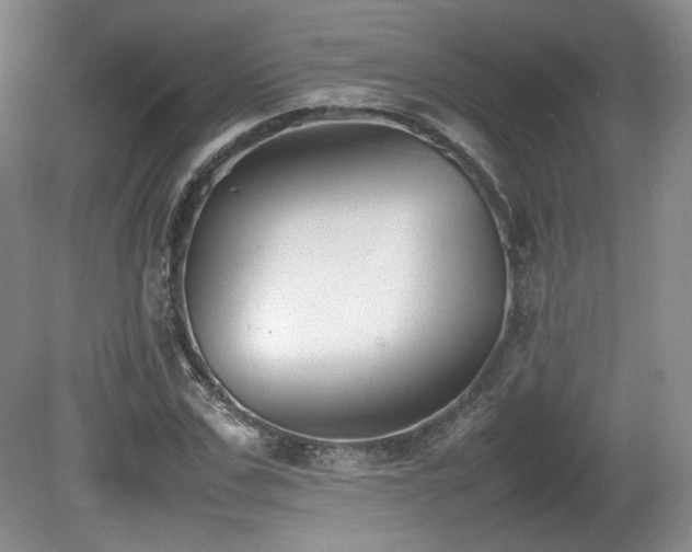 X0000080780971200612151424