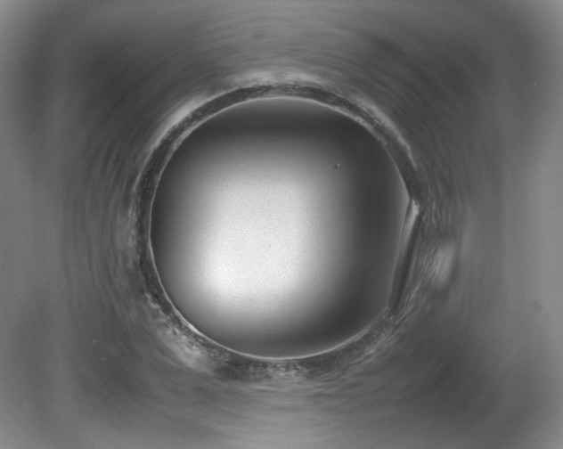 X0000080780975200612151424