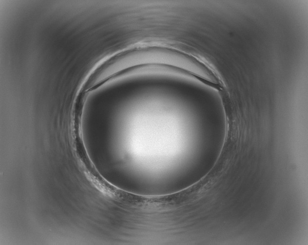 X0000080780976200612151424