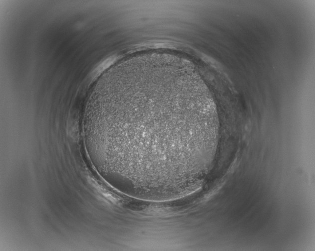X0000080780977200612151424