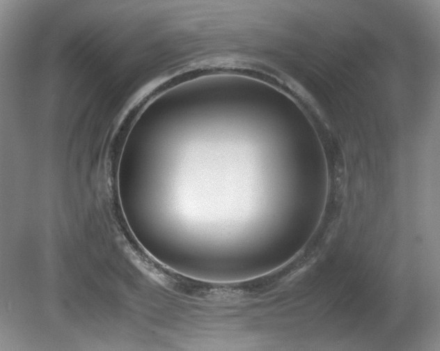 X0000080780981200612151424