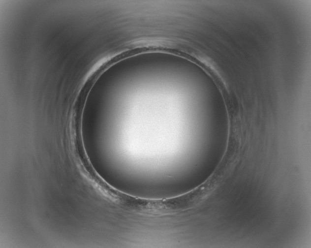 X0000080780983200612151424
