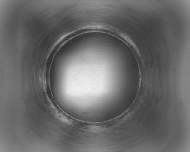 X0000080780984200612151424