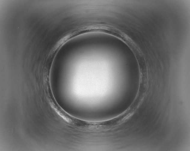 X0000080780985200612151424
