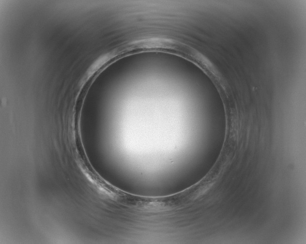 X0000080780986200612151424