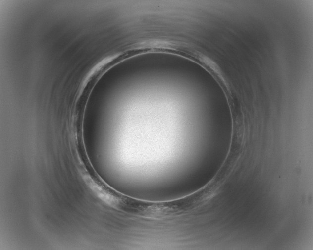 X0000080780987200612151424