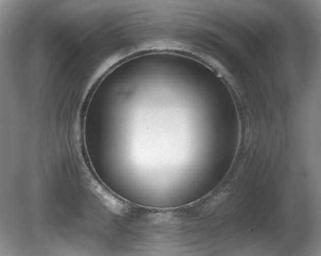X0000080780990200612151424