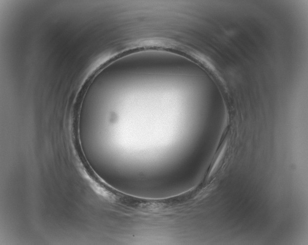 X0000080780991200612151424