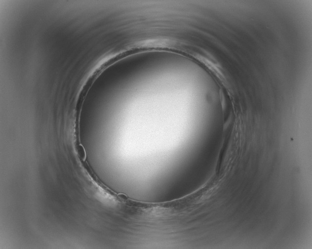 X0000080780992200612151424