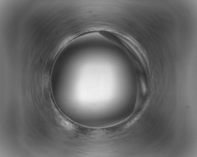 X0000080780993200612151424
