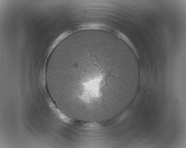 X0000080780994200612151424