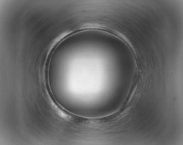 X0000080780995200612151424