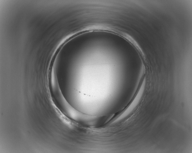 X0000080780996200612151424