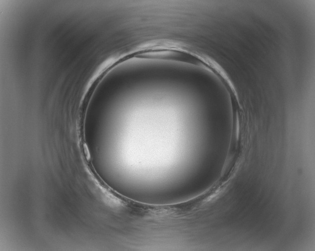 X0000080780997200612151424