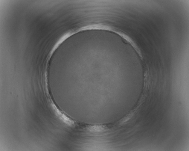 X0000080780998200612151424