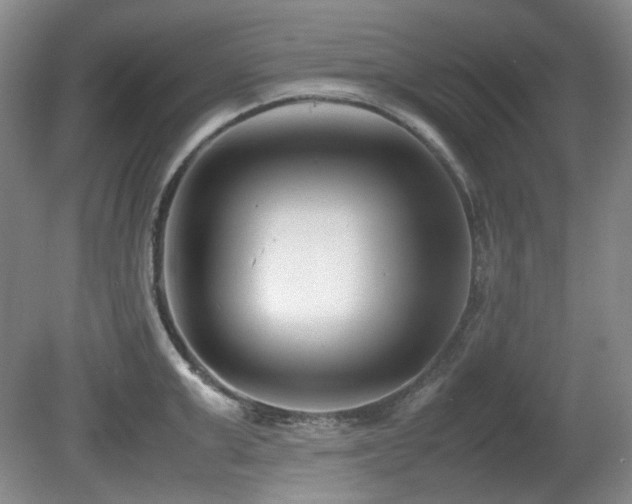 X0000080780999200612151424