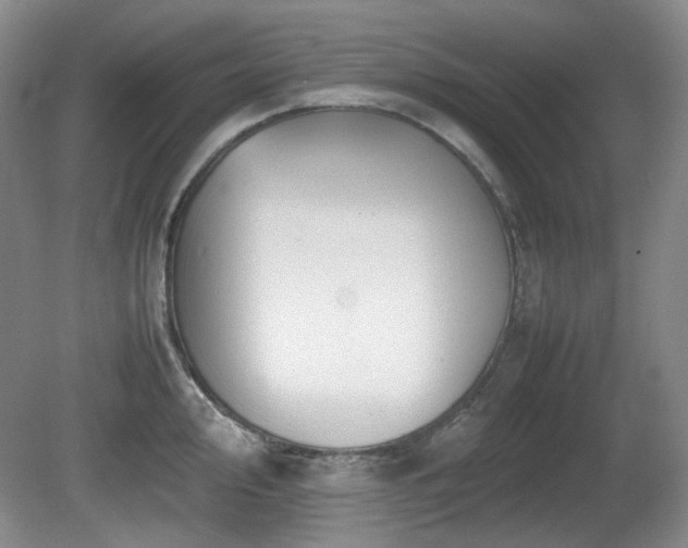 X0000080781000200612151424