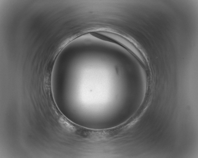 X0000080781001200612151424
