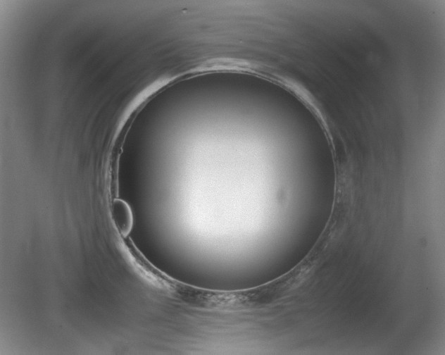 X0000080781003200612151424