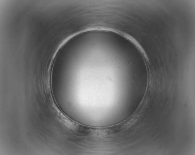 X0000080781004200612151424