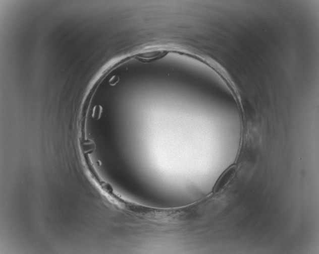 X0000080781005200612151424