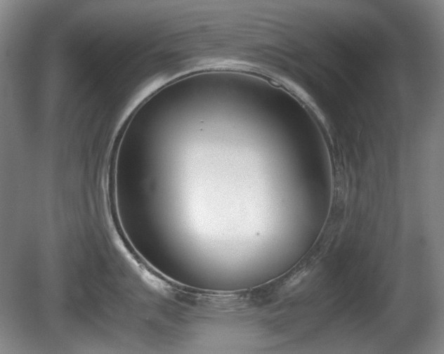 X0000080781007200612151424