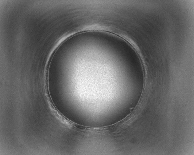 X0000080781008200612151424