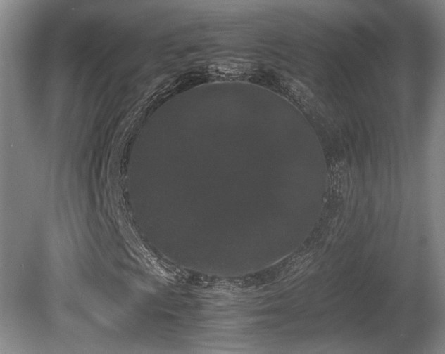 X0000080781009200612151423