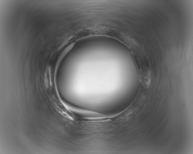 X0000080781010200612151423