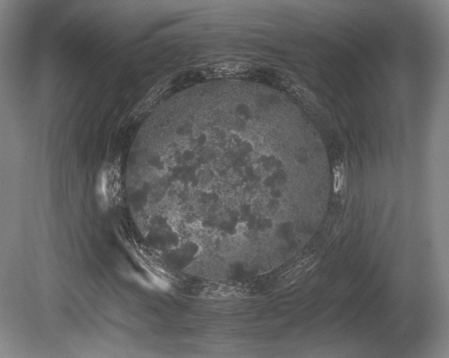 X0000080781011200612151423