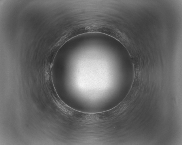 X0000080781012200612151423