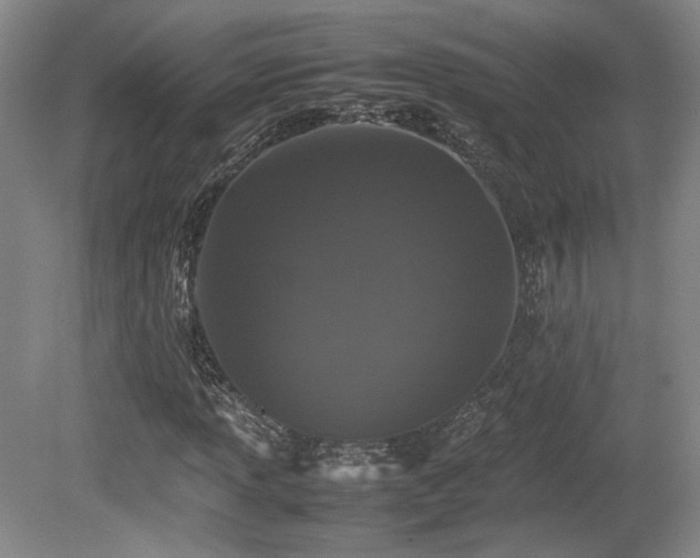 X0000080781013200612151423