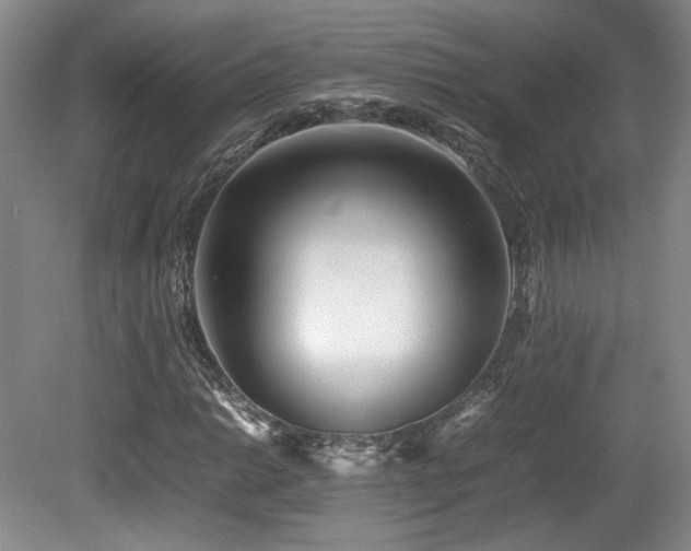 X0000080781014200612151423