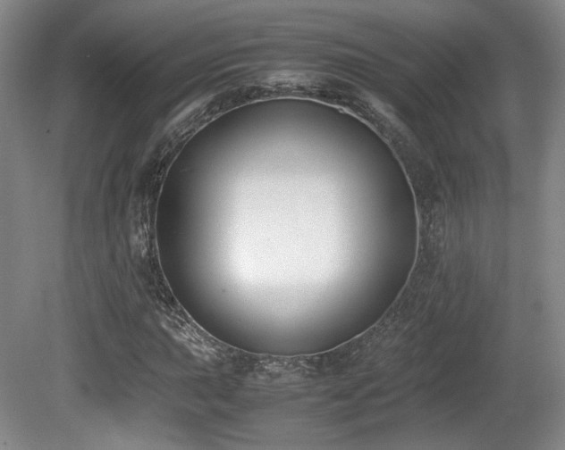 X0000080781015200612151423